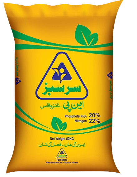 سرسبز این پی-logo